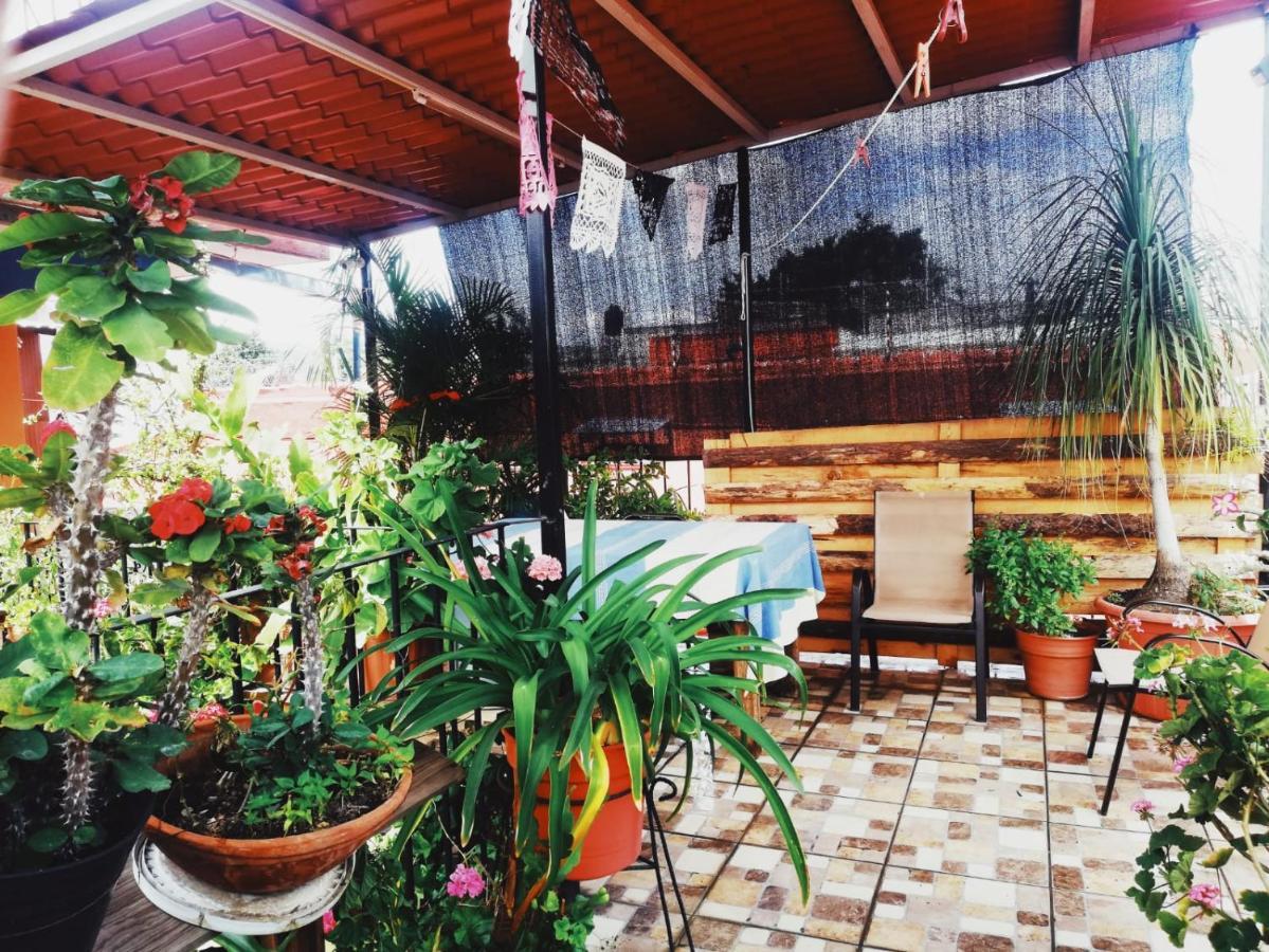 El Rincon De Dona Bety Hotel Oaxaca Buitenkant foto